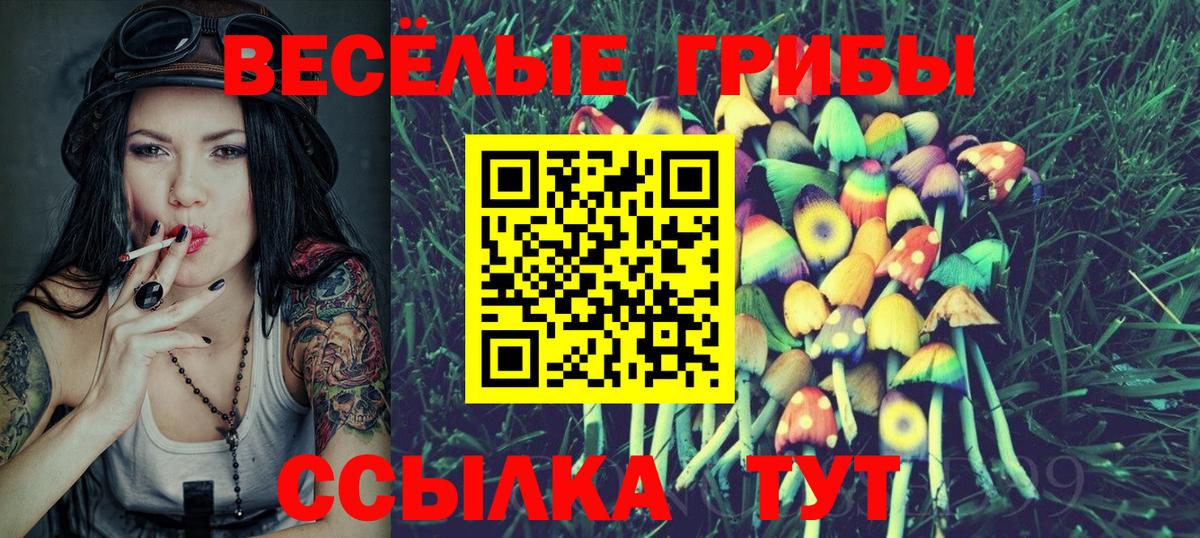 Псилоцибиновые грибы Psilocybine cubensis Ирбит