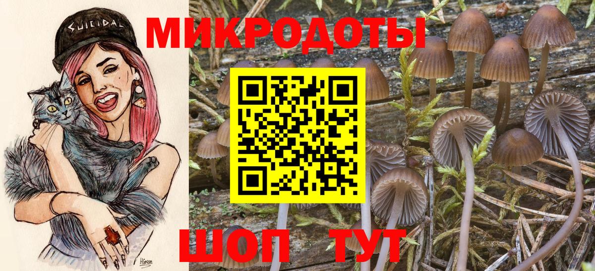 Ирбит  Псилоцибиновые грибы Psilocybe  Галлюциногенные грибы MAGIC MUSHROOMS  Вход с VPN 